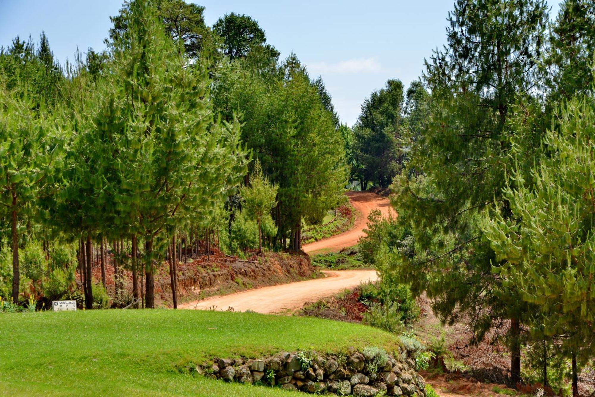 Troutbeck Resort Nyanga Kültér fotó